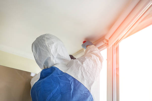 Why You Should Choose Our Mold Remediation Services in Del Rio, TX